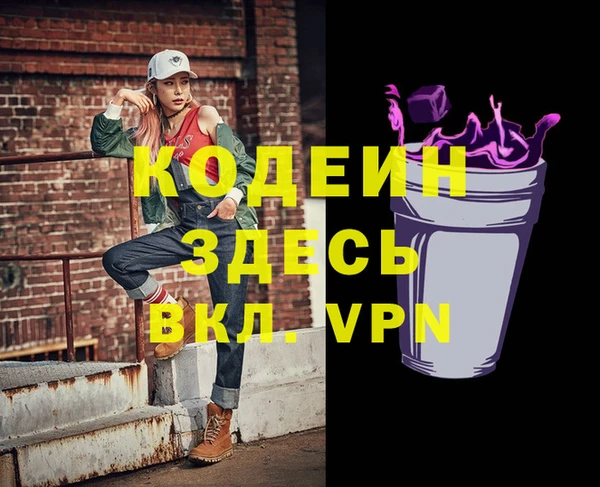 хмурый Алексин