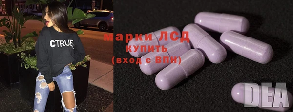 хмурый Алексин