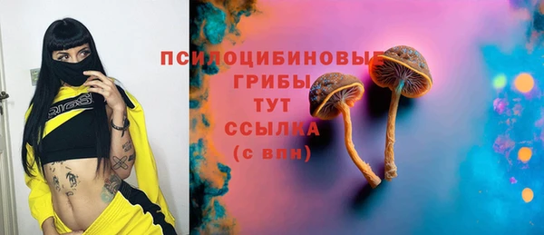 хмурый Алексин