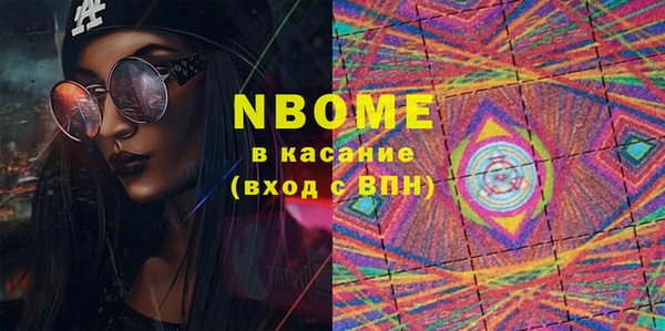 хмурый Алексин