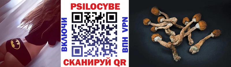 блэк спрут ONION Томск Псилоцибиновые грибы MAGIC MUSHROOMS