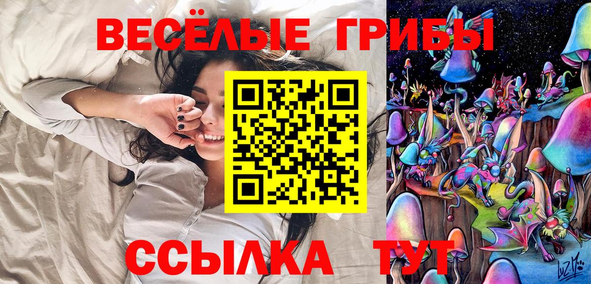 Томск  дарнет шоп  Вход с VPN  Псилоцибиновые грибы GOLDEN TEACHER 