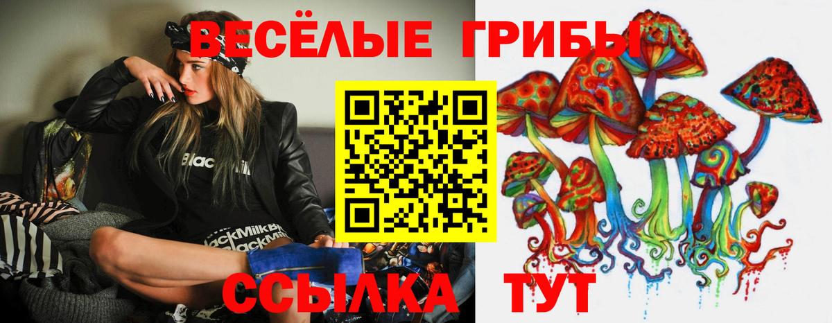 Галлюциногенные грибы мицелий Томск